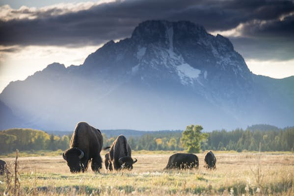 9 amazing places to visit in Wyoming for big nature, outdoor adventure and cool towns