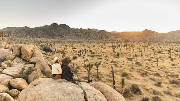 Joshua Tree National Park: everything a first-time visitor could want to know