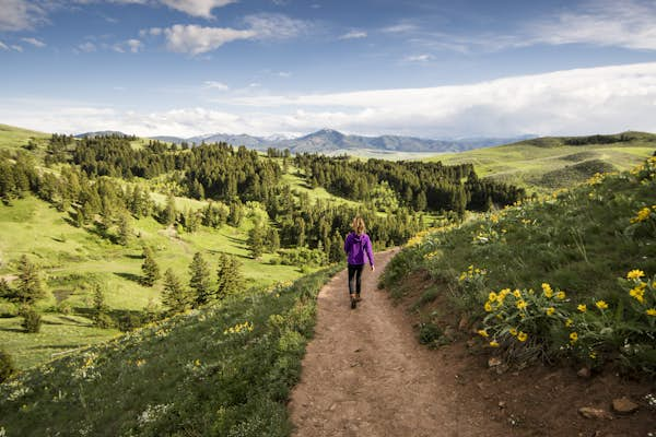 The best hikes in Bozeman for outdoor splendor