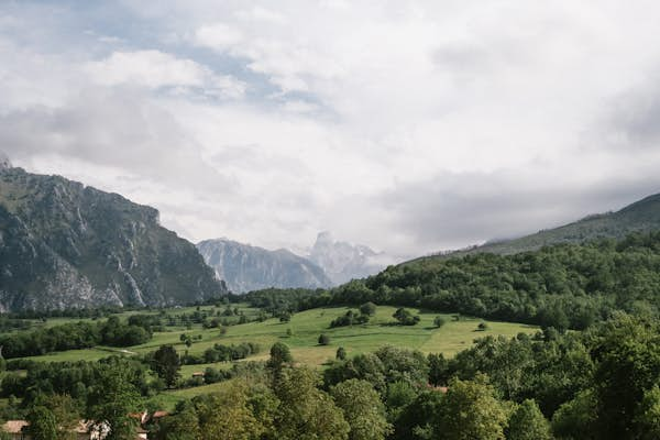 Untamed Spain: A guide to its parks and wildlife