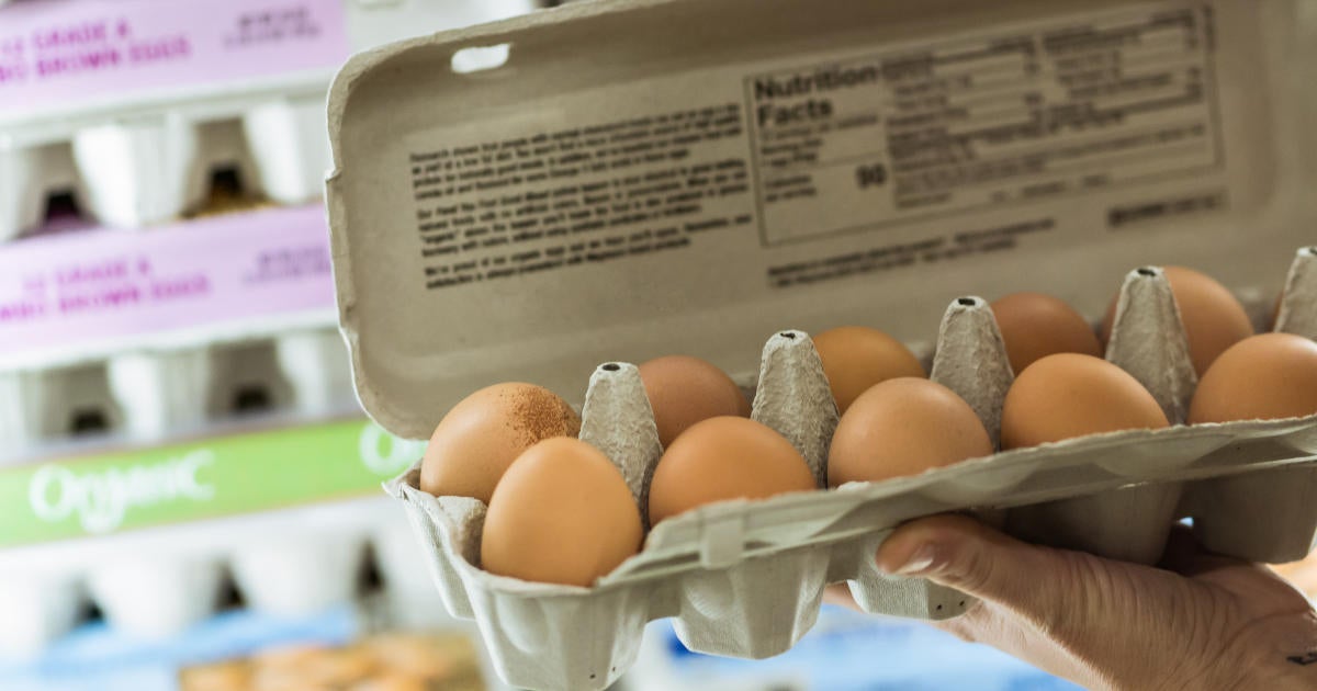 Egg Recall Issued Over Salmonella